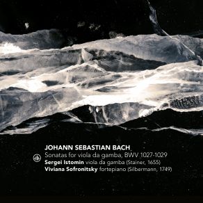 Download track Sonata No. 3 In G Minor, BWV 1029 II. Adagio Sergei Istomin, Viviana Sofronitsky