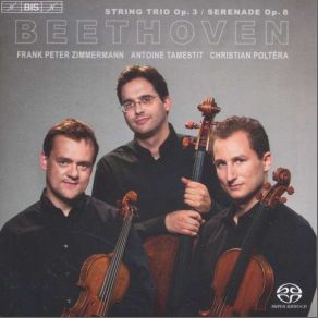 Download track (Serenade In D Major For Violin, Viola And Cello, Op. 8) - Marcia. Allegro Viola, Trio Zimmermann, Christian Poltéra