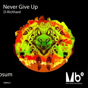 Download track Never Give Up (Original Mix) D-Richhard
