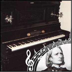 Download track Grande Étude De Paganini No. 4 In E Major Franz Liszt