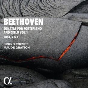 Download track 02. Cello Sonata No. 1 In F Major, Op. 5 No. 1 II. Allegro Ludwig Van Beethoven