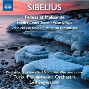Download track 10. Pelléas Et Mélisande - Act V - No. 10. Andante Prelude Scene 2 Jean Sibelius