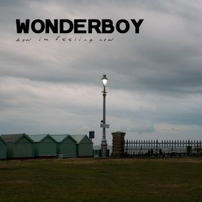 Download track Whoop-De-Do, Basil The Wonderboy
