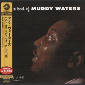 Download track Hoochie Coochie Man Muddy Waters