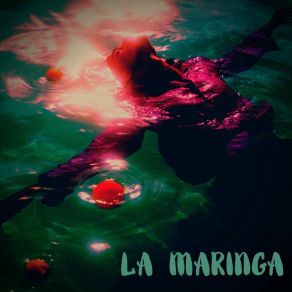 Download track Pachanga La Maringa