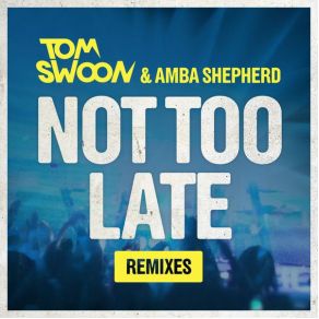 Download track Not Too Late (Sebjak Remix) Amba Shepherd, Tom Swoon