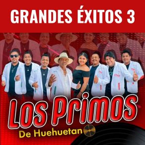 Download track Dices Que Te Vas Los Primos De Huehuetan