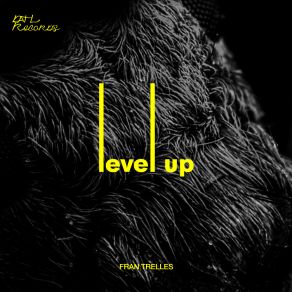 Download track Level Up (Original Mix) Fran Trelles