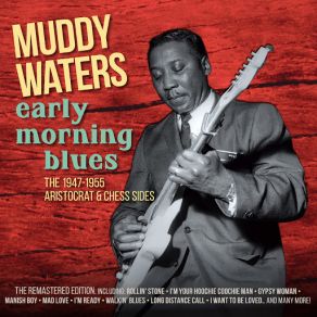 Download track Mean Red Spider Muddy Waters