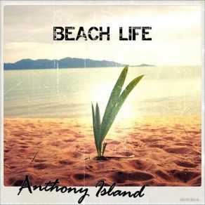 Download track White Palms Anthony Island