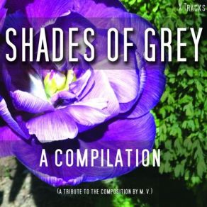 Download track A Fifty Track Compilation & 39 - On The Beautiful Blue Danube Medley [Strauss] Shades Of Grey