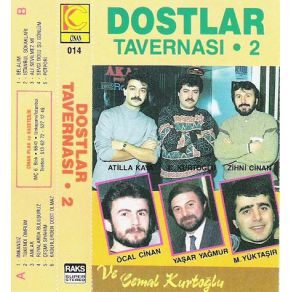 Download track Sevgi Dolu Şu Gönlüm Cengiz KurtoğluYasar Yağmur