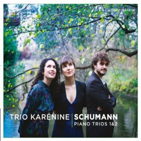 Download track Piano Trio No. 2 In F Major, Op. 80: I. Sehr Lebhaft Trio Karénine