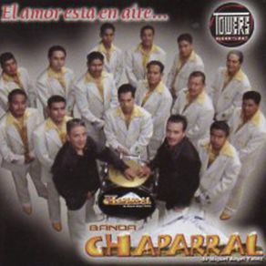 Download track De Hoy En Adelante Banda Chaparral De Miguel Angel Yañez