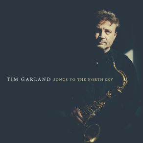 Download track She's Out Of My Life Tim Garland