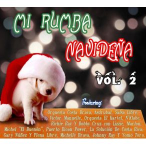 Download track Aguinaldo Pa' To' El Año The Puerto Rican Power