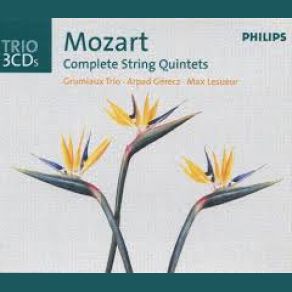Download track String Quintet No. 6 In E-Flat Major K. 614: 2. Andante Wolfgang Amadeus Mozart
