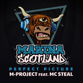 Download track Perfect Picture (Radio Edit) MC Steal