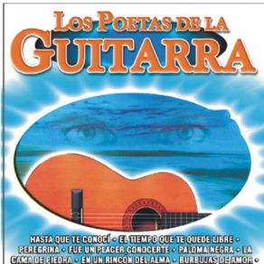 Download track Un Sueño De Tantos Los Poetas De La Guitarra