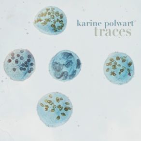 Download track We'Re All Leaving Karine Polwart