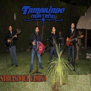 Download track El Inmigrante Tamarindo Norteño