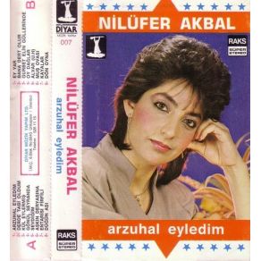 Download track Kınamayın Dostlar Nilüfer Akbal