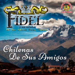 Download track Chelena De Sus Amigo Fidel Y Sus Teclado Fidel