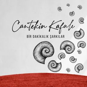 Download track Emek Cantekin Kafalı