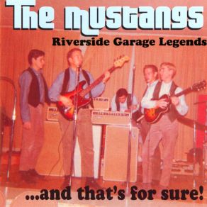 Download track Did You Ever Get The Feelin' The Mustangs