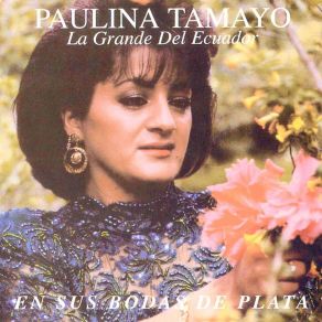 Download track Desesperacion Paulina Tamayo