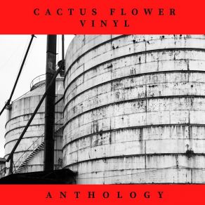 Download track Ton Of Love Cactus Flower Vinyl