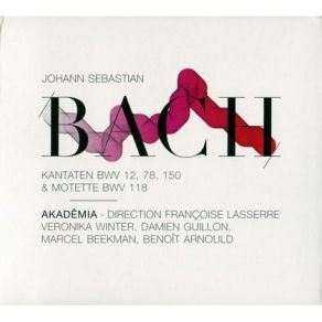 Download track BWV 150: Coro: Meine Augen Sehen Stets Zu Dem Herrn Johann Sebastian Bach