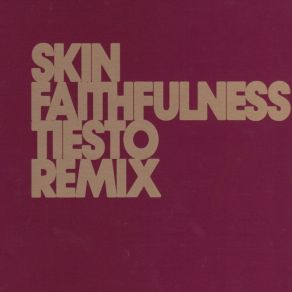 Download track Faithfulness (Instrumental) SkinDJ Tiësto
