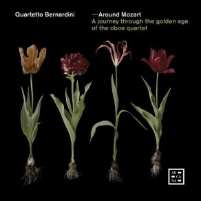 Download track 05. Quartet In F Major, K. 370368b III. Rondeau Allegro - Quartetto Bernardini Quartetto Bernardini