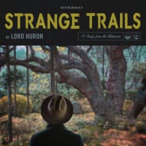 Download track The Night We Met Lord Huron