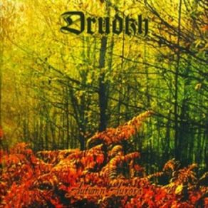 Download track Fading Drudkh