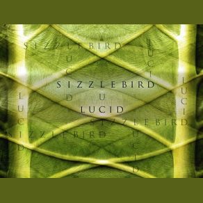 Download track Lucid SizzleBirdNori