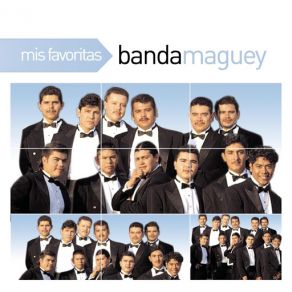 Download track Quiero Volver Banda Maguey