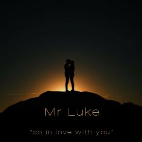 Download track So In Love With You (Radio Edit) Mr Luke