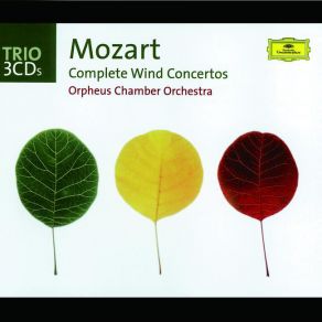 Download track Concerto For Bassoon And Orchestra In B-Flat Major, K. 191 (186e) - II. Andante Ma Adagio Wolfgang Amadeus Mozart, Orpheus Chamber Orchestra