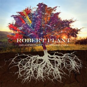 Download track Shine It All Around (2006 Remaster) Robert Plant