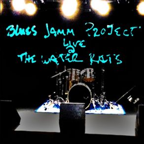 Download track Trouble Times (Live) Blues Jamm Project