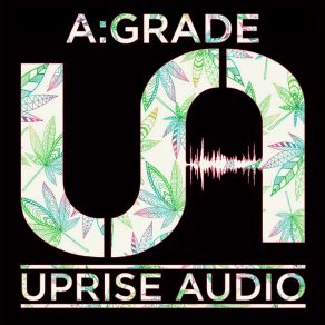 Download track Grey Area A-Grade