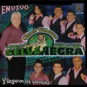 Download track El Pajarito (En Vivo) Selva Negra