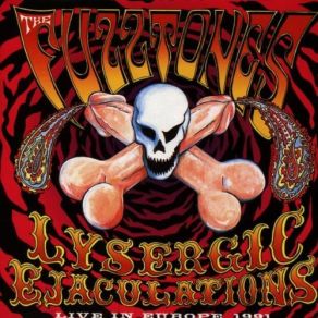 Download track My Little Red Book The Fuzztones