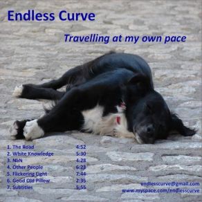 Download track NaN Endless Curve