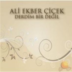 Download track Hu Diyelim Ali Ekber Çiçek