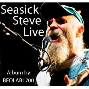 Download track So Lonesome I Could Cry Seasick Steve