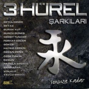 Download track Haram Burak Kut