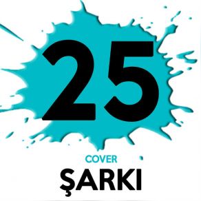 Download track Ben Böyleyim Sarp